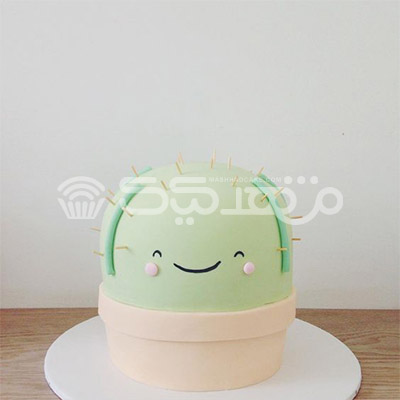 کیک فندانت کاکتوس || مشهد کیک سفارش آنلاین کیک و شیرینی در مشهد